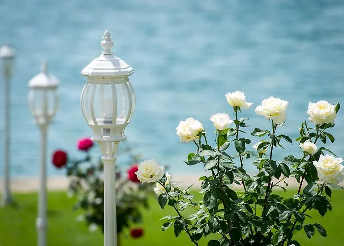 מלון Christina *